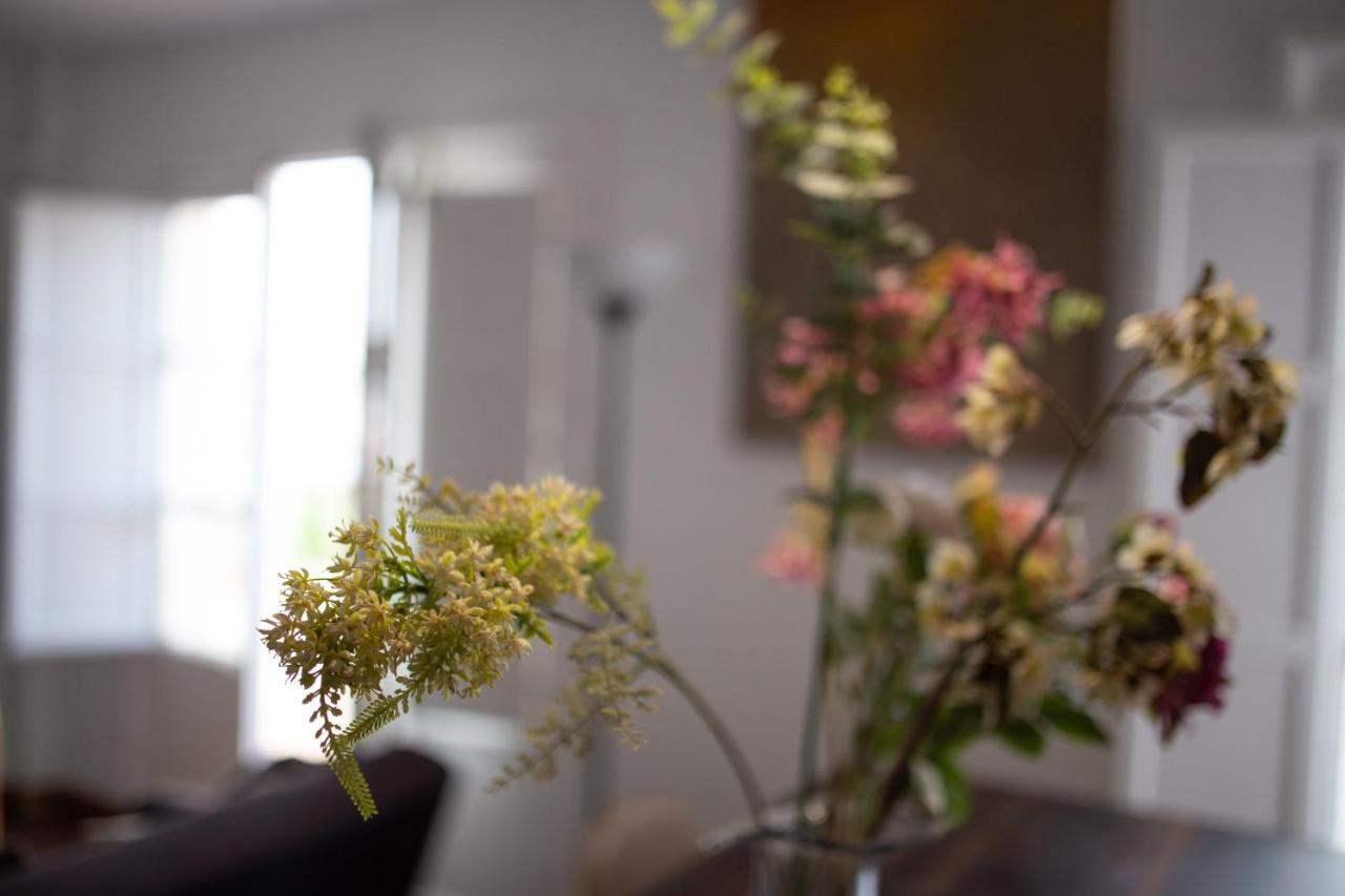 Apartment Seville Mirador Puerta Carmona Dış mekan fotoğraf